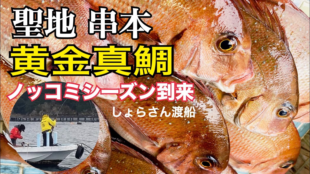 聖地串本ノッコミ到来‼︎