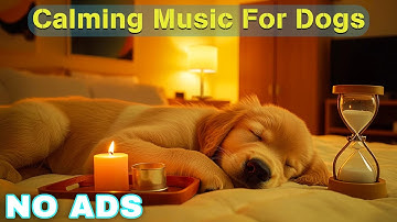 12 HOURS of Dog Calming Music For Dogs🎵💖Anti Separation Anxiety Relief Music🐶Sleep dog Healing🎵
