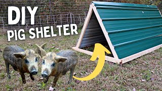 Build an EASY Pig Shelter