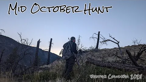 Solo, October Mule Deer Hunt | BIG DECISION...Remote British Columbia Region 8
