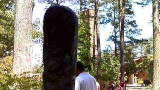 IMAG0061.AVI
