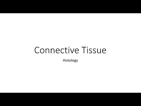 Identifying Connective Tissue