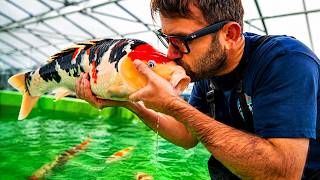 We Unboxed 200 MONSTER Koi