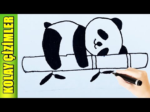 Kolay panda çizimi - PANDA nasıl çizilir - kolay ve güzel çizimler