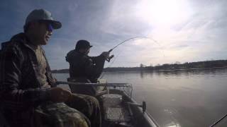 Lazy jigging lands a Lake Wylie meow!! screenshot 5