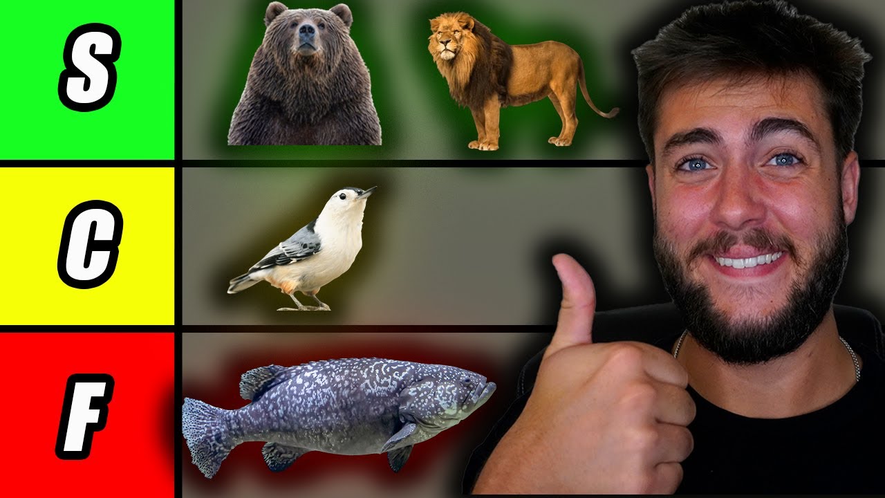 Ranking Animals By How Easily I Could Beat Them In A Fight