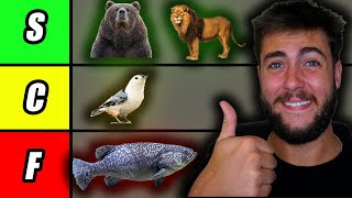 Ranking Animals By How Easily I Could Beat Them In A Fight