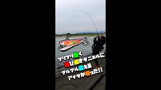 【ショート】飛び過ぎダニエルのアピール力が凄すぎた！！【#shorts 】