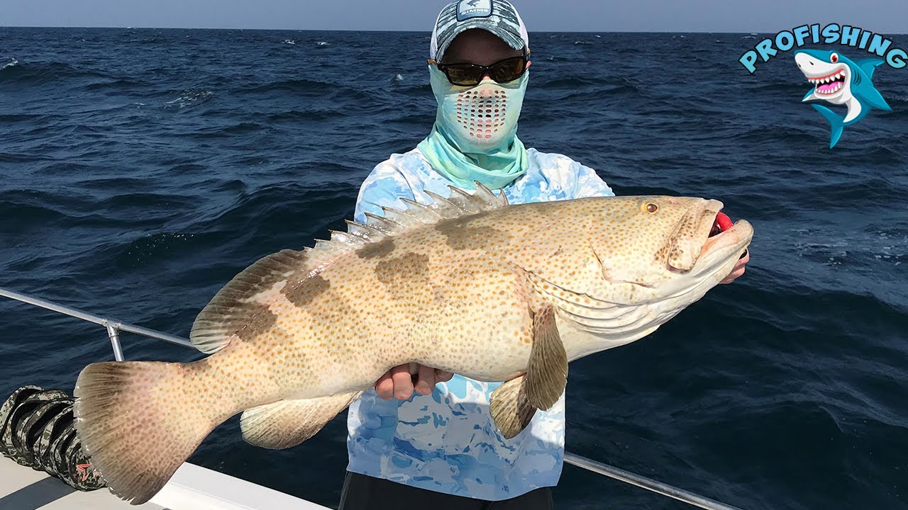 Abu Dhabi Fishing in the boat ! Huge Grupper!
