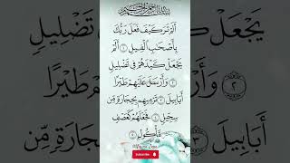 Surah AL - FIL #allah #alquran #kajianislam #islam #2026 #1000subscriber #shorts #ai #youtubeshorts