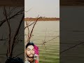 छोटा बांसी से बड़ा मछली मार के दिखाए भाई ने #fishing #fish