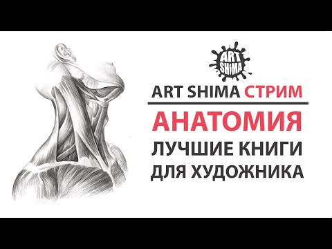 КНИГИ ДЛЯ ХУДОЖНИКОВ 1 Часть Анатомия ART Shima СТРИМ | КНИГИ ПО РИСОВАНИЮ