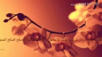 قراءة من الشيخ :علاء الدين الغزاوي ((سورة الضحى ))