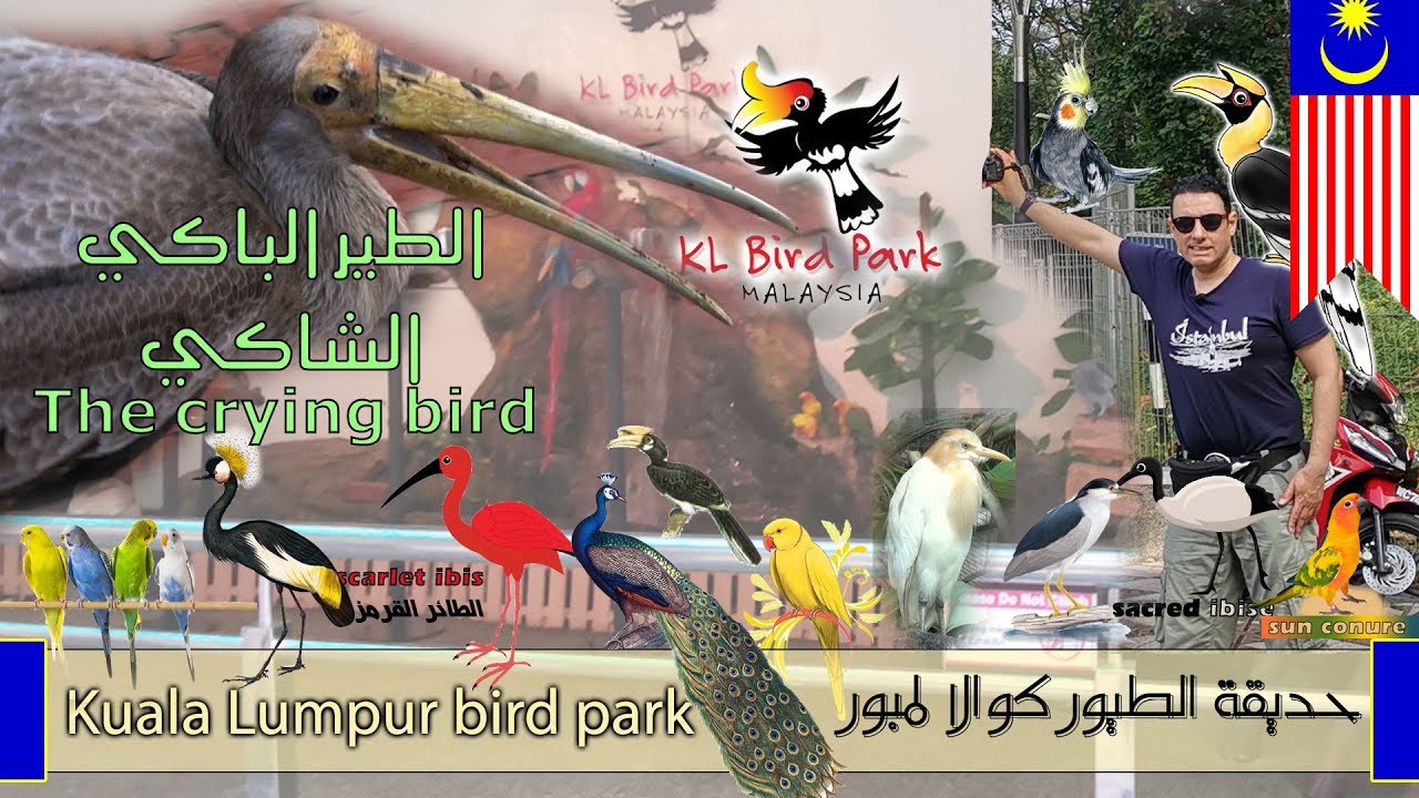 حديقة الطيور ماليزيا - كوالالمبور - Kuala Lumpur malaysia bird park - عاشقة الطيور
