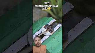 😱great ideas to make using a handheld cutter tools😳#trandingviralvideo#viralshortvideo#brilliant tl#