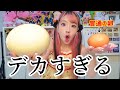 ダチョウの卵でオムライス何人前作れるかしてみたらヤバすぎた
