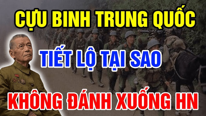 Khám Phá Thế Giới Đầy Màu Sắc Tại Https//havircin.com/ - Nơi Ghi Dấu Những Kỷ Niệm Đáng Nhớ