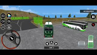 Pakistani flag colour wala bus driving video