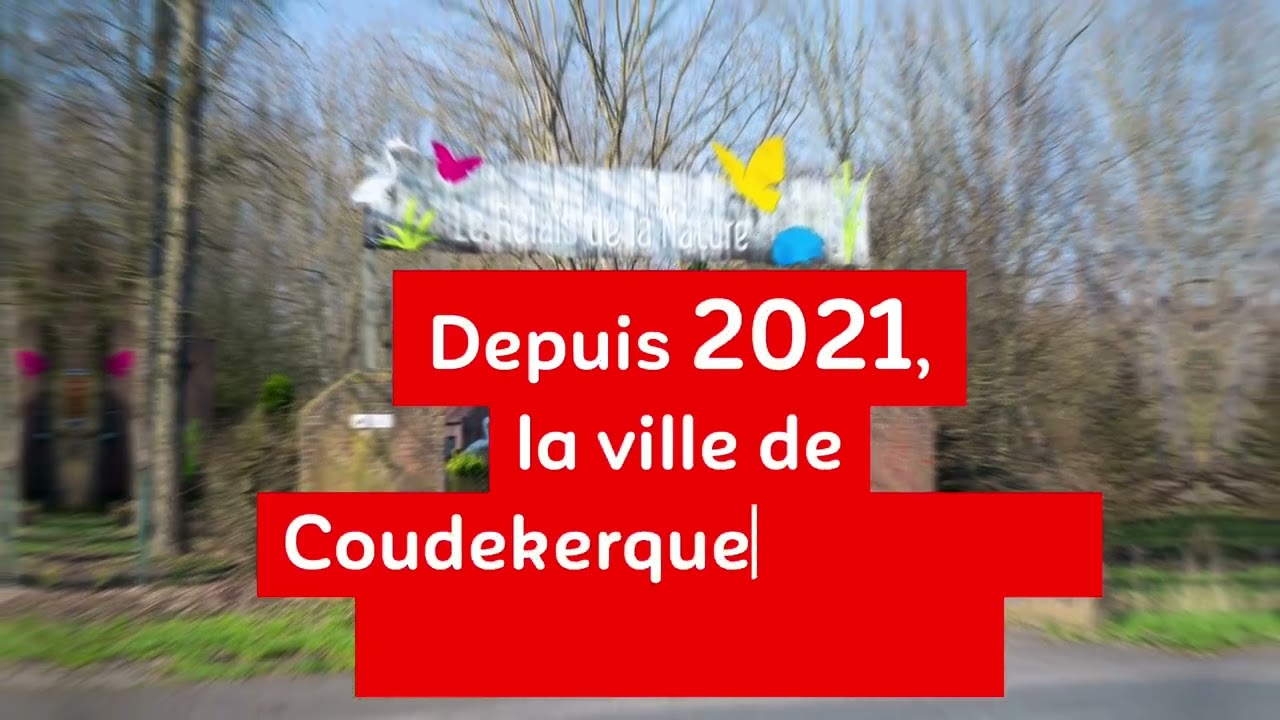 Vidéothèque - Ville de Coudekerque-Branche