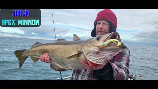 Fishing for bass and pollock with Ben and Freddie, UK boat angling with tips on slow pitch jigging by JOKERjigsandlures 3,140 views 3 months ago 18 minutes