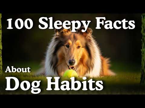 100 Sleepy Facts About Dog Habits to Fall Asleep To | Sleepy Animals