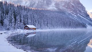 Beautiful Winter Wonderland in Banff Lake Louise Rocky Mountains after Snowfall
