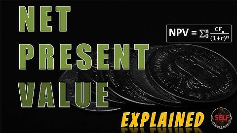 Net Present Value | NPV Explained