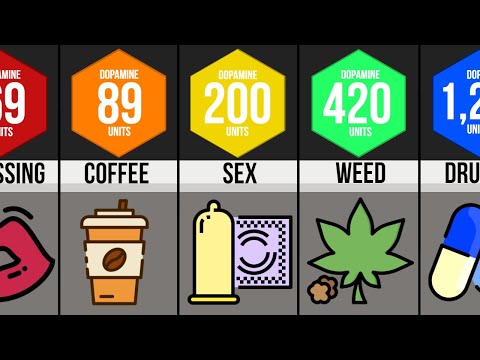 Comparison - Human Pleasure