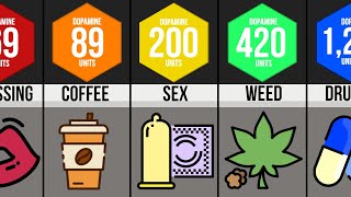 Comparison - Human Pleasure