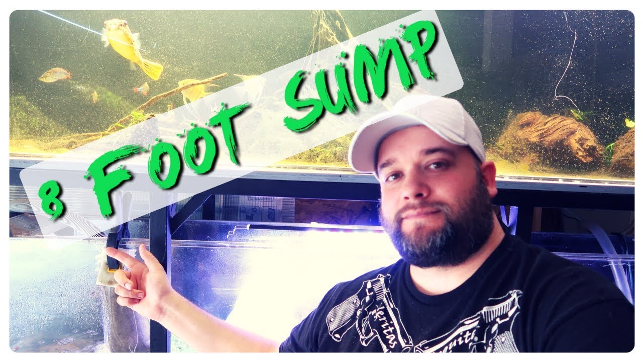 diy fish tank hood GIGANTIC GHETTO SUMP for 240 Gallon Aquarium