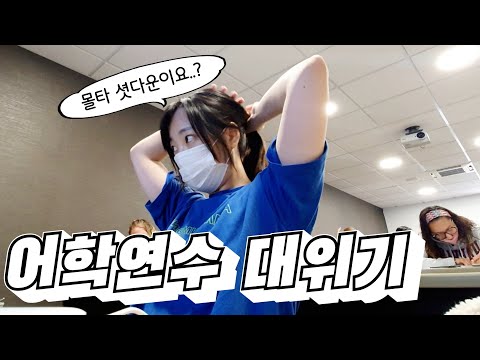 🇲🇹 #5 망한 것 같은 어학연수 계획.. 나 이제 어떡하지🥲