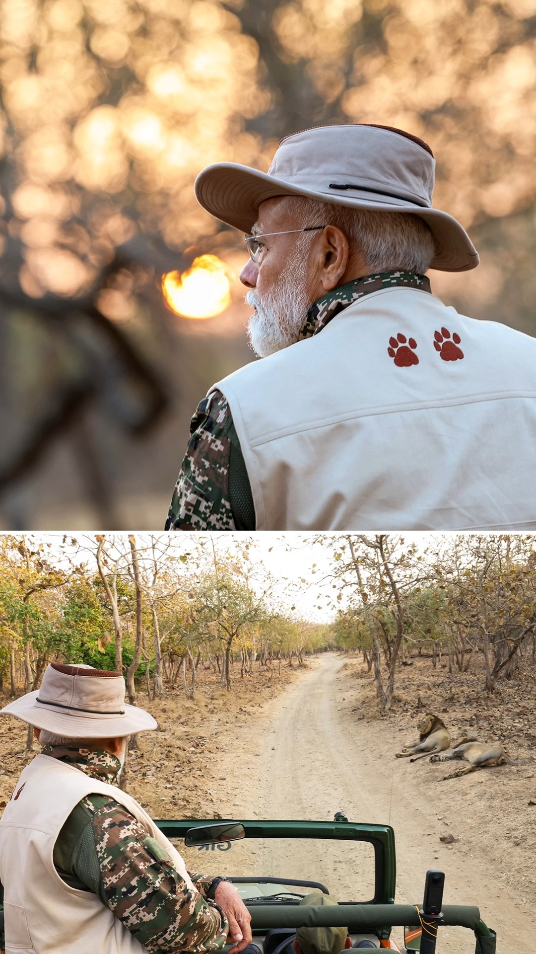 PM Modi goes on Lion Safari at Gir National Park in Gujarat | #shorts