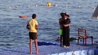 Snorkeling Reefs Sharks bay Egypt Sharm El Sheikh Red sea 
