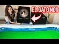 NO EMPUJES LA CAJA INCORRECTA A LA PISCINA DE SLIME | ESTABA EL GATO!? | Lyna Vlogs