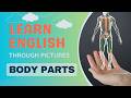 Learn Body Parts in English | English Pronunciation for Beginners | #LearnEnglish #body