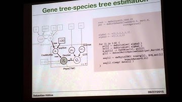 Höhna: Bayesian Phylogenetic Inference using RevBayes