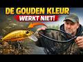 De "Gouden Aaskleur" is een LEUGEN! Dit is waarom je niks vangt in het voorjaar.