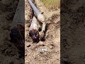 This Machine Drills Under Roads Without Touching the Road
