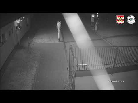 Zloděj na sběrném dvoře