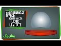 The Leidenfrost Effect: How to Make a Liquid Levitate