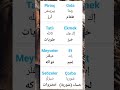 Turkey تركيا تعليم عربي لغة تركية مفردات كلمات طعام اكل 