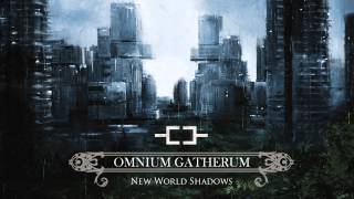 OMNIUM GATHERUM Everfields