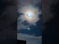 #moonlight