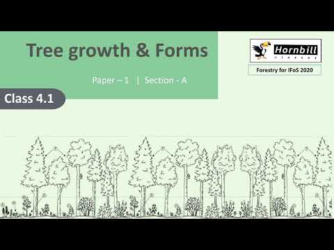 5. IFoS-2020  |  Silviculture - tree growth and forms, Stand morphology