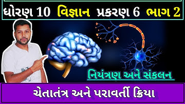 પ્રાણીઓ - ચેતાતંત્ર | Animals - Nervous system | STD 10 SCIENCE CH 6 | નિયંત્રણ અને સંકલન