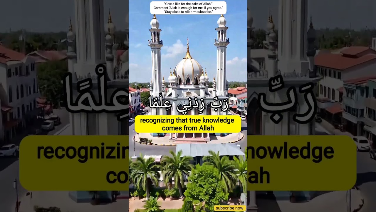 Qur’an Reminder: Bless Me Knowledge ✨🕊️ | 