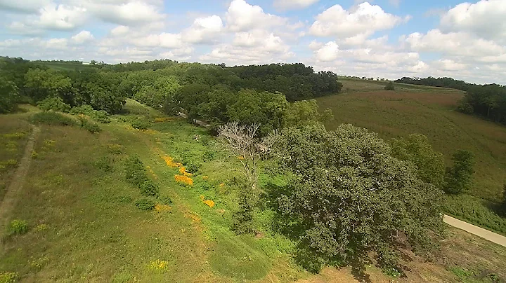 10 ACRE POLLINATOR PATCH BEFORE PLANTING 40+ SPECIES