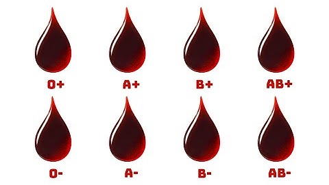 Tất cả Rủi Ro về Nhóm Máu của Bạn trong 11 phút