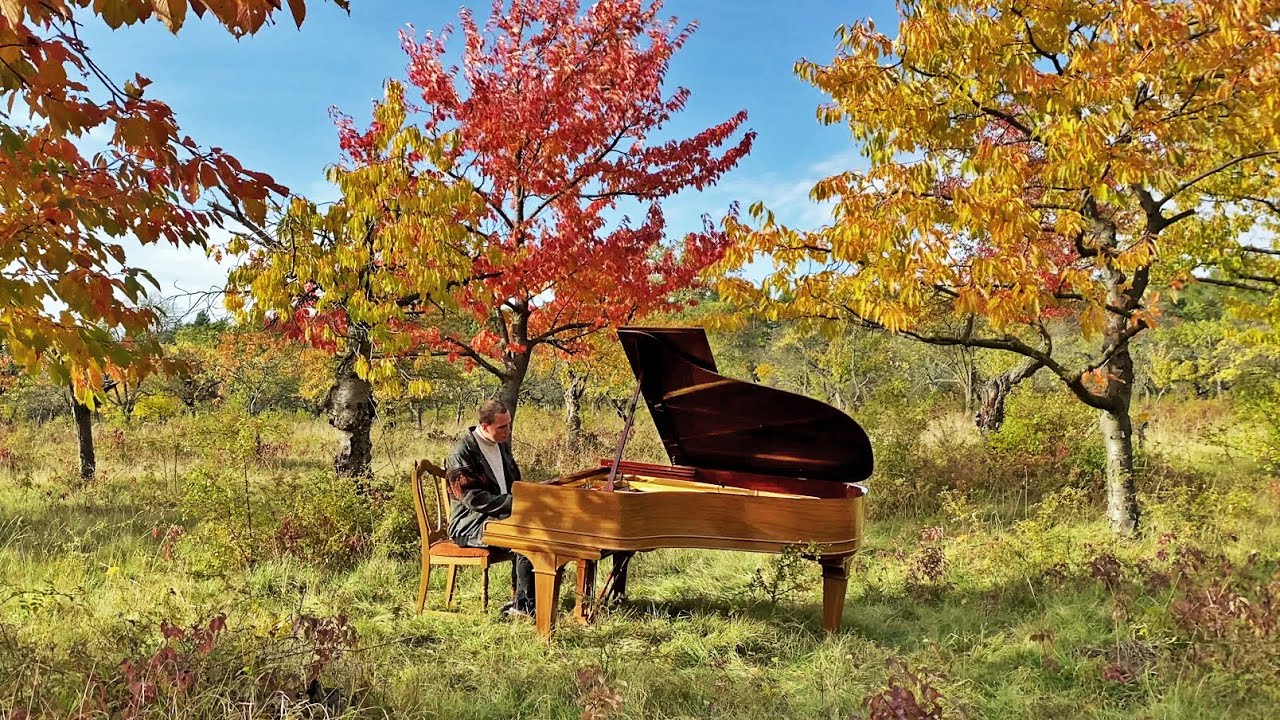 Watch Martin Kohlstedt - LUN (live from an orchard) on YouTube Watch Martin Kohlstedt - LUN (live from an orchard) on YouTube