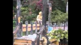 SEJARAH BAGINDA-maharani   qosim  - YouTube.mp4